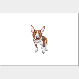 Bull Terrier Posters and Art